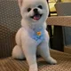 미소천사별이