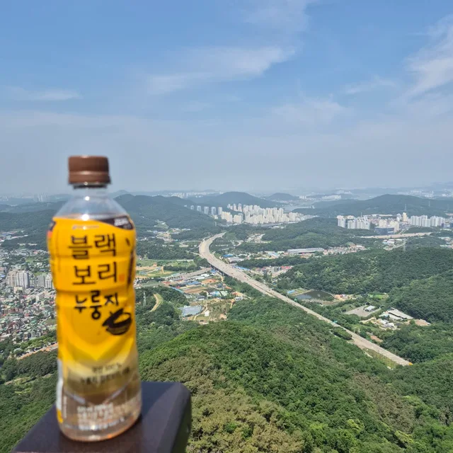 가로소주77장곡남
