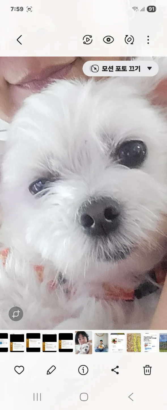 지욱이네