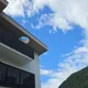 뚜니뚜