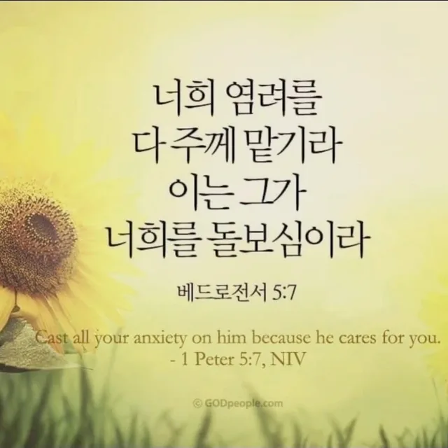 러블리댕댕