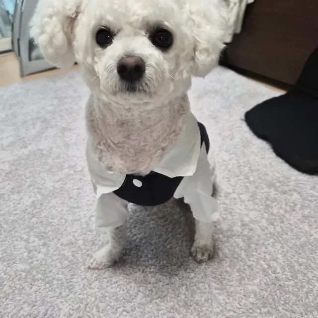 하루맘