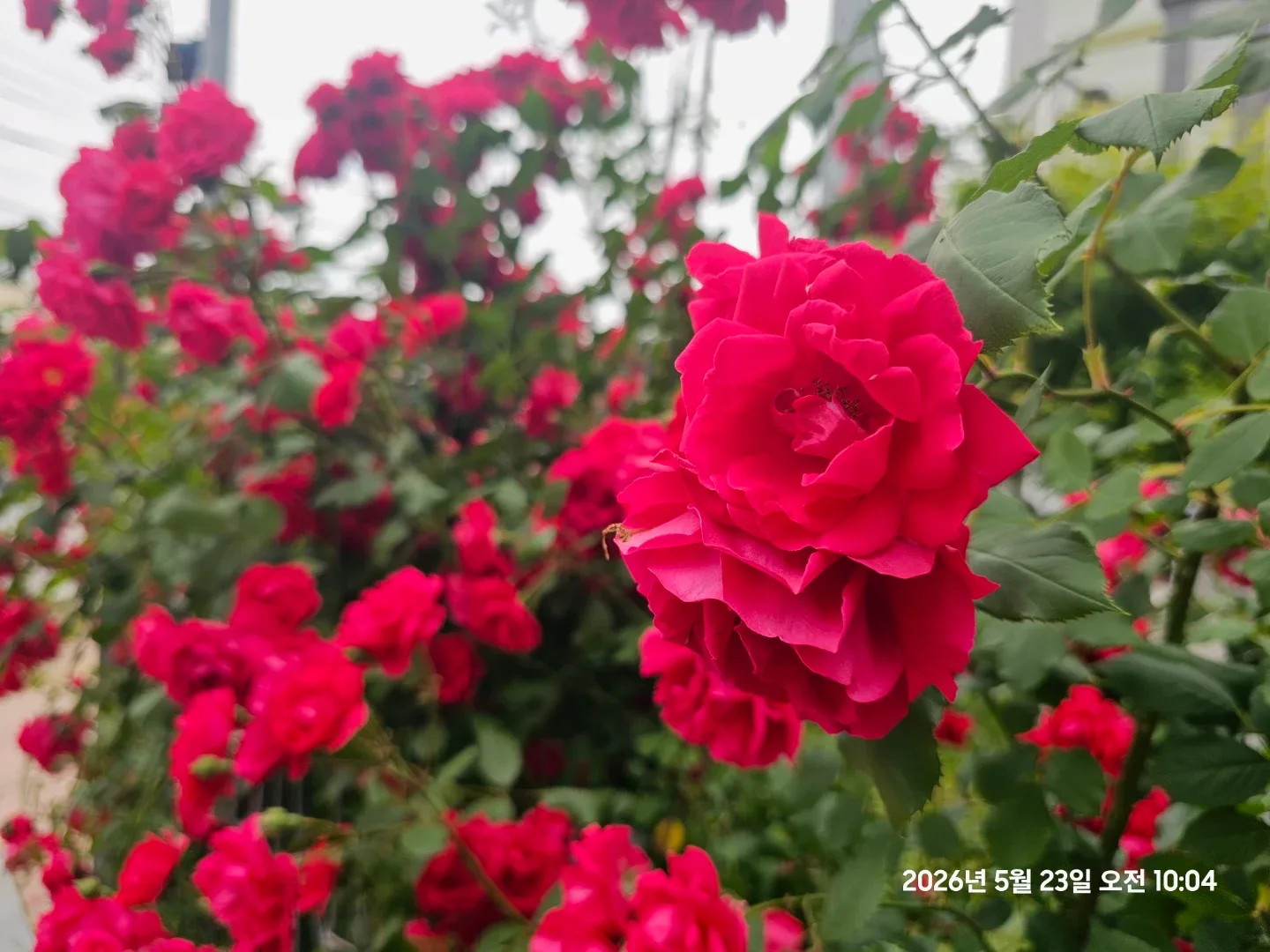 신경끄자