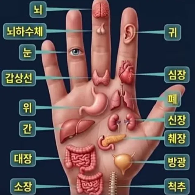 뭐먹고살지