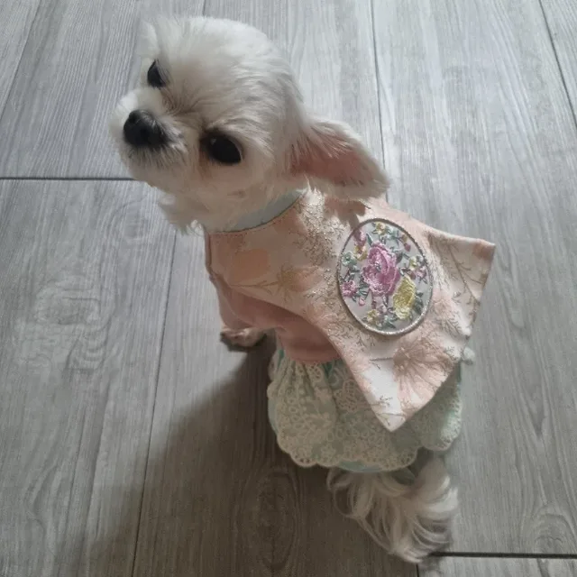 봄이맘