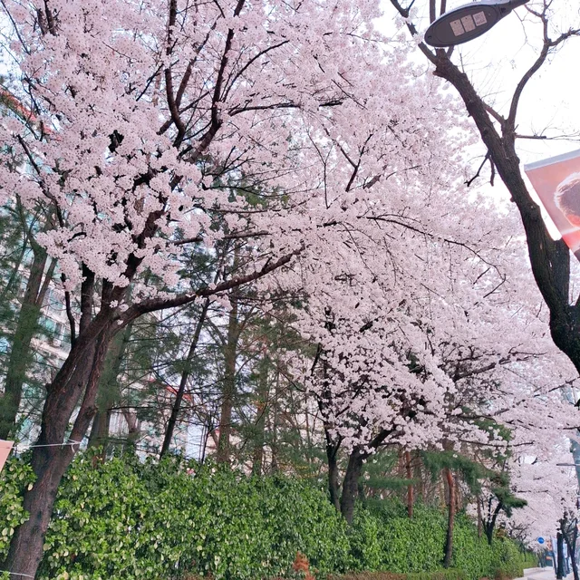 반짝이는