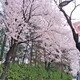 반짝이는