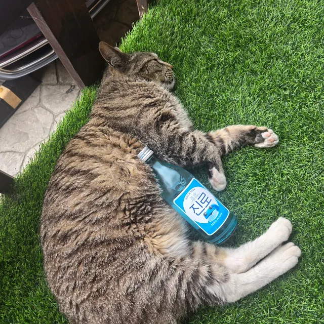 우만동지킴이
