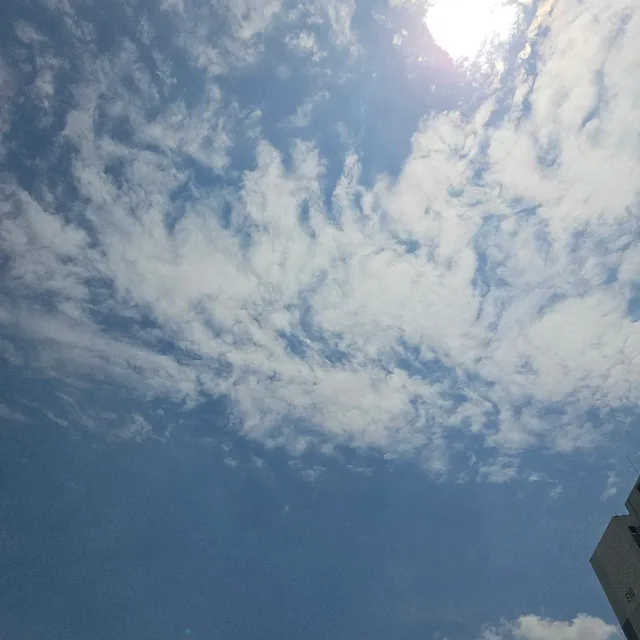 체리따봉
