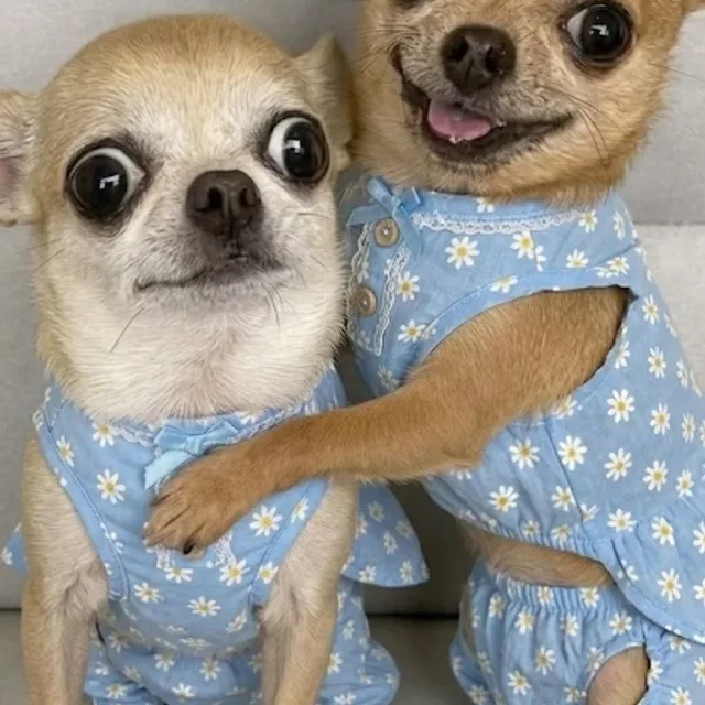 언제나행운