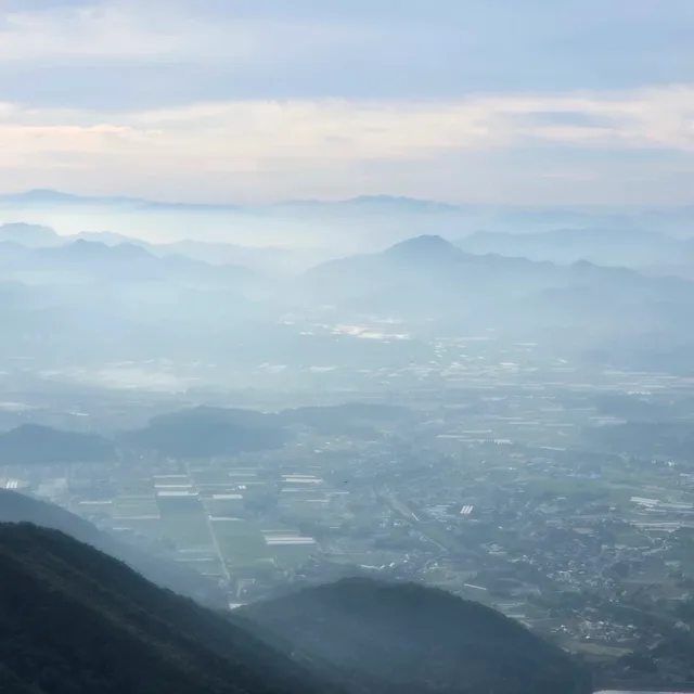 청개구리