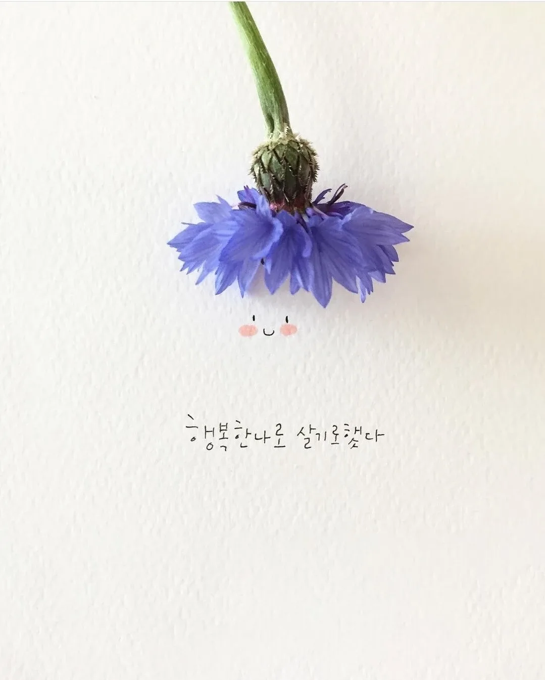 0프로