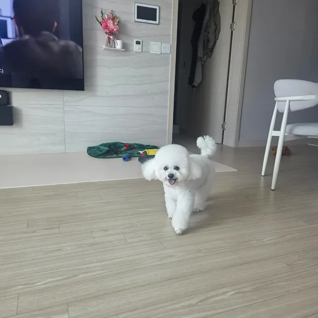김미