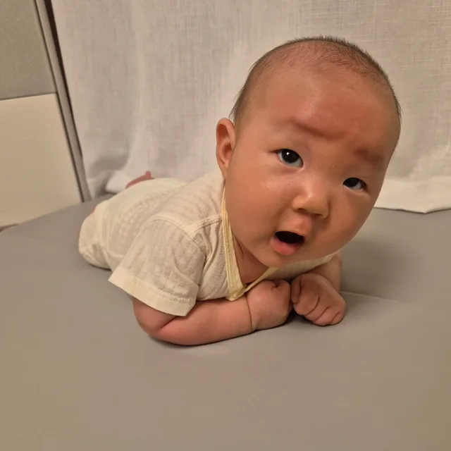 콩콩콩때구르르