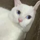 윤블리