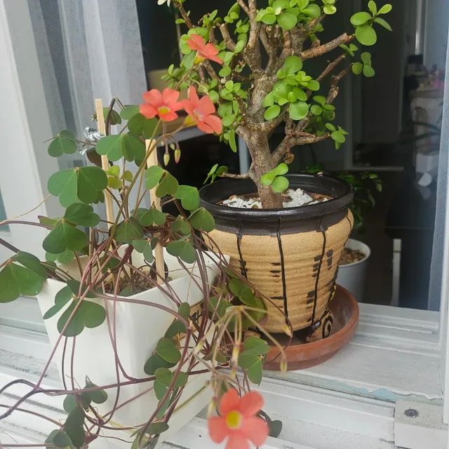 수기수기