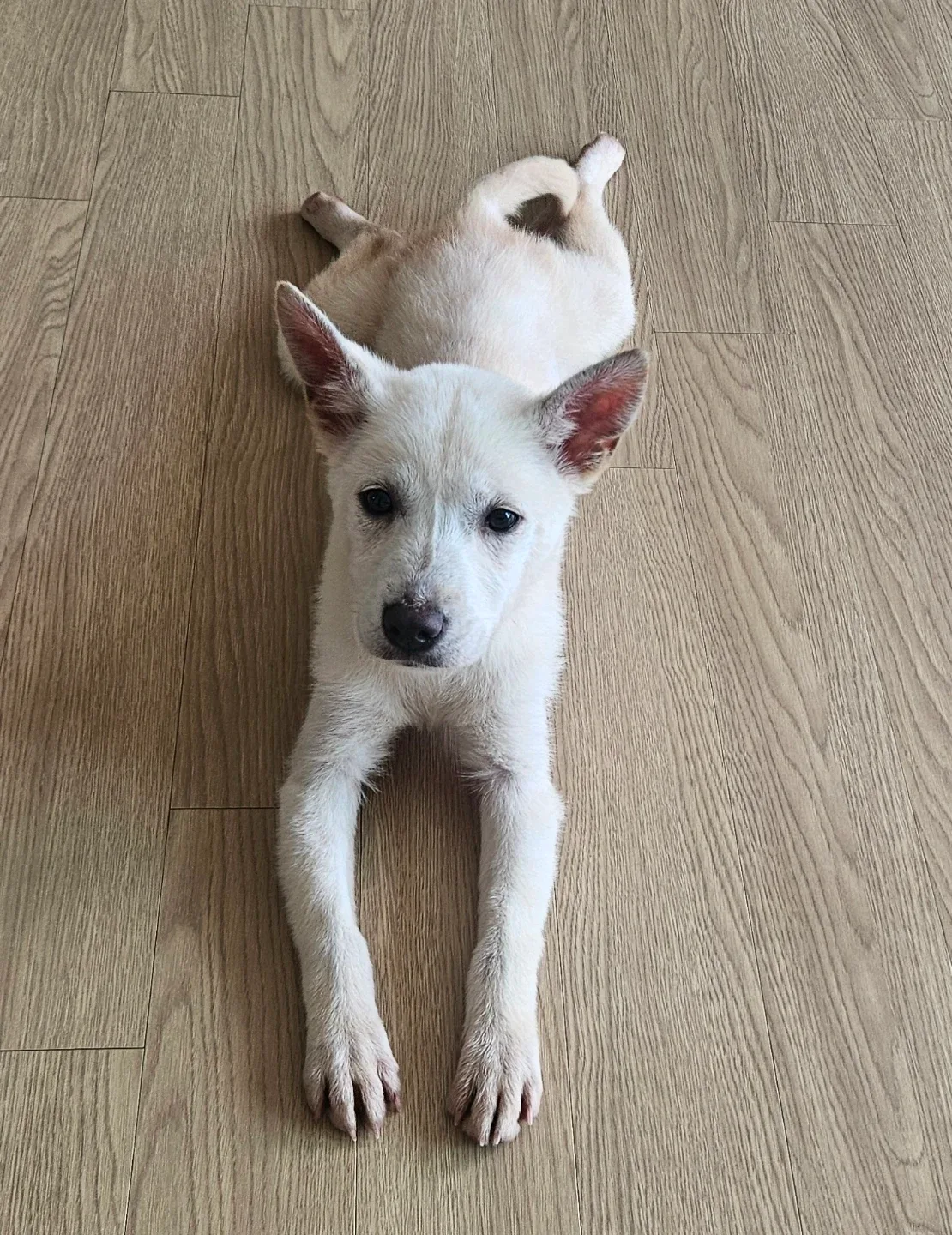 따구따구