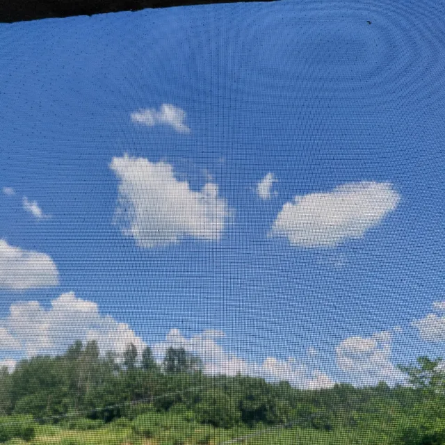 데이비드
