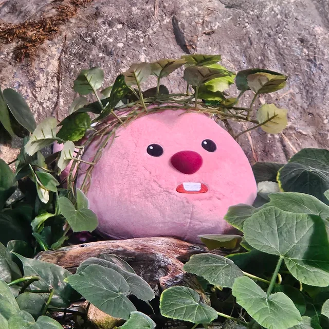 천호동루피