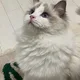 당근오이감자