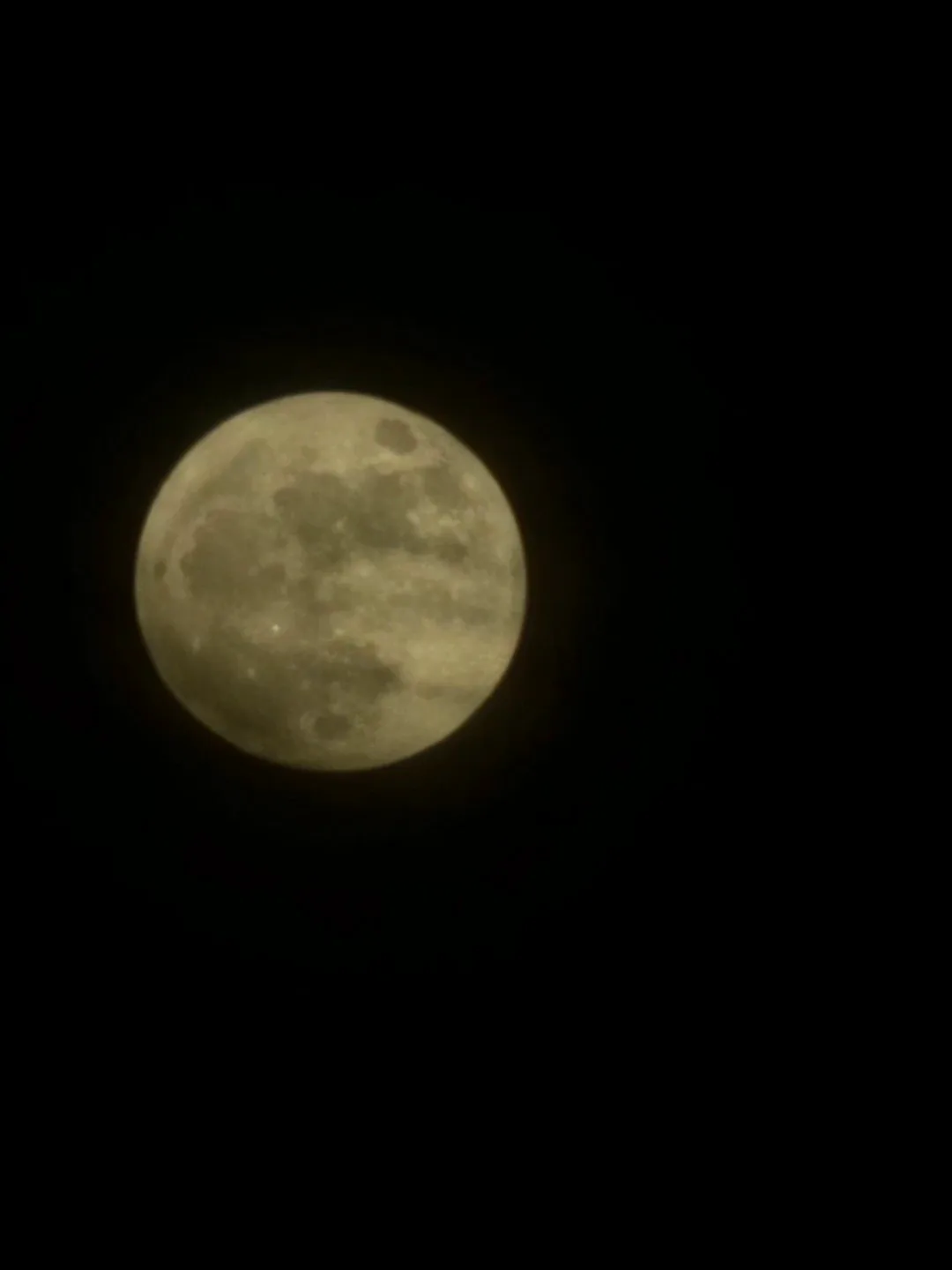 테레사