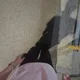 당근183