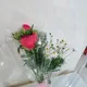 사랑
