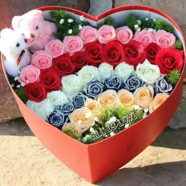완숙이