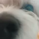 뒷골목커피향
