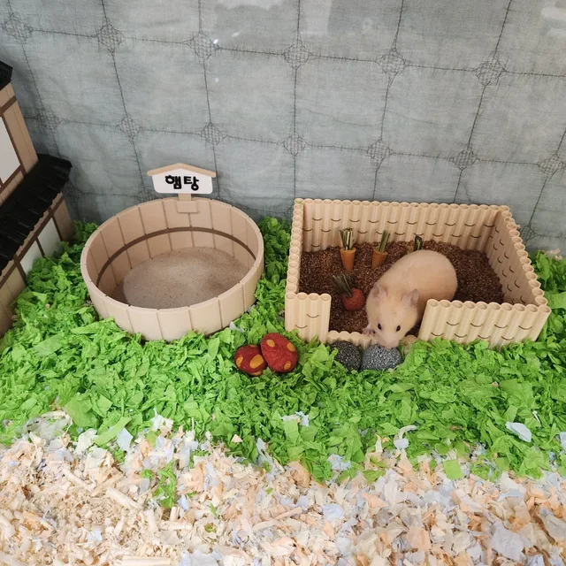 코코