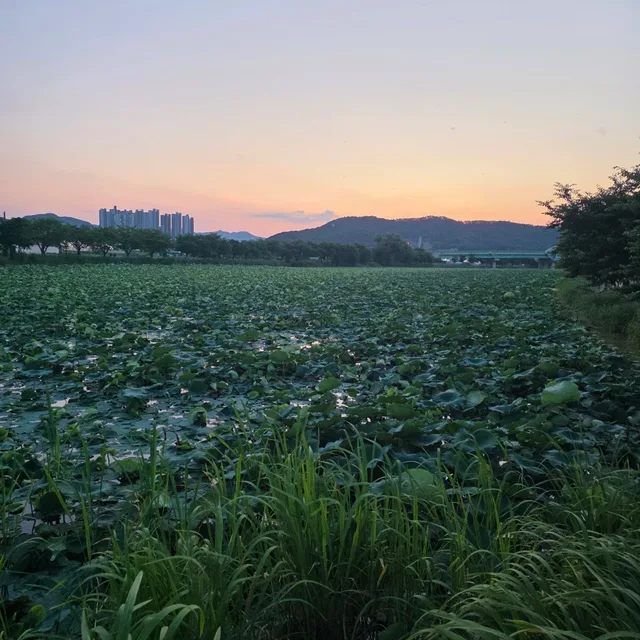 자연지기