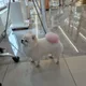 류민맘