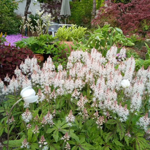 김4맘