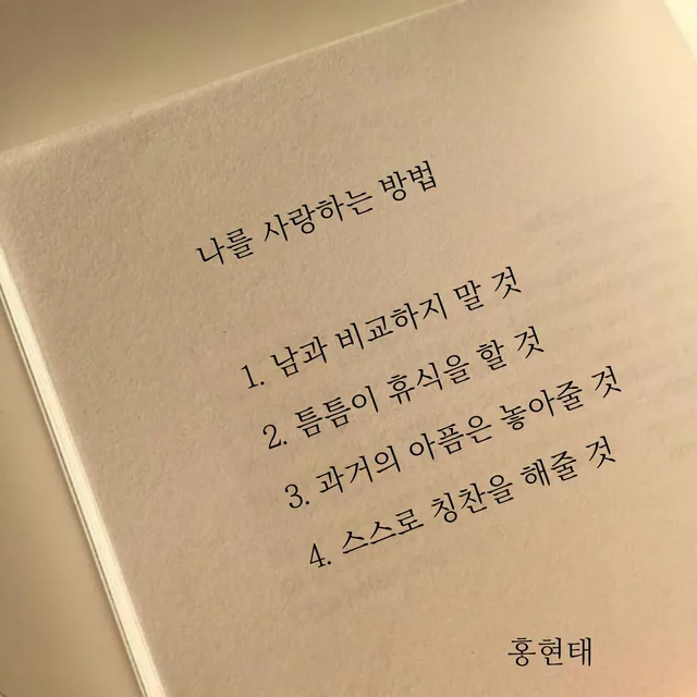 작가홍현태
