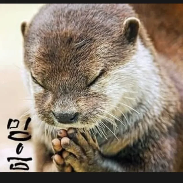 모놀