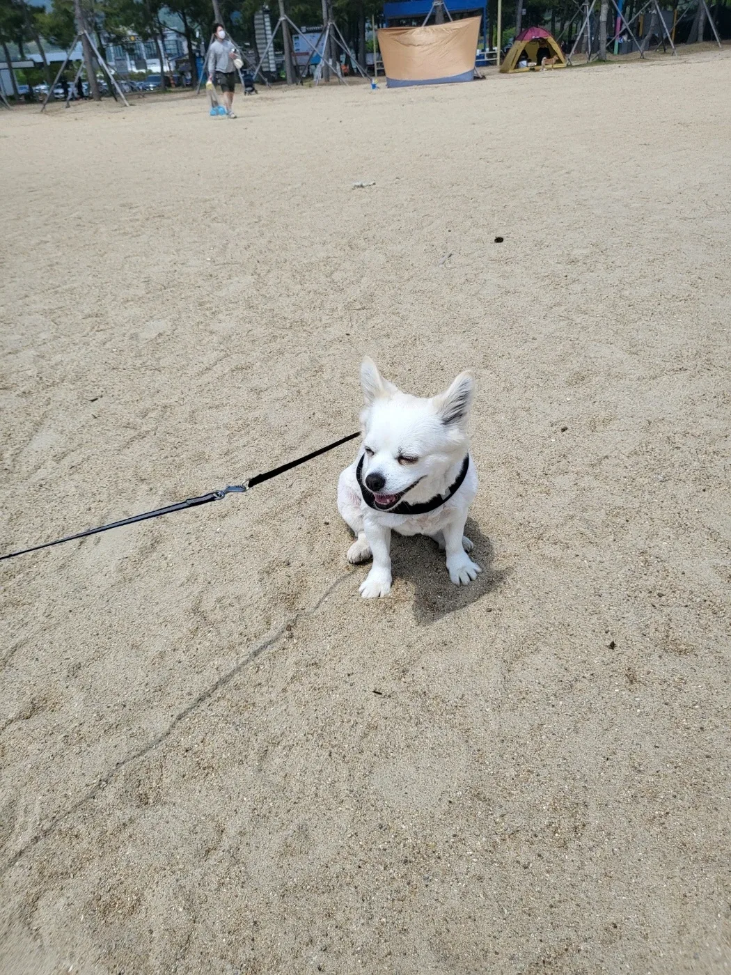 앙꼬