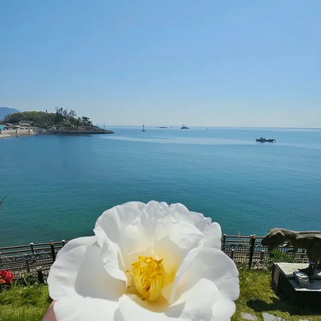 메이71일산