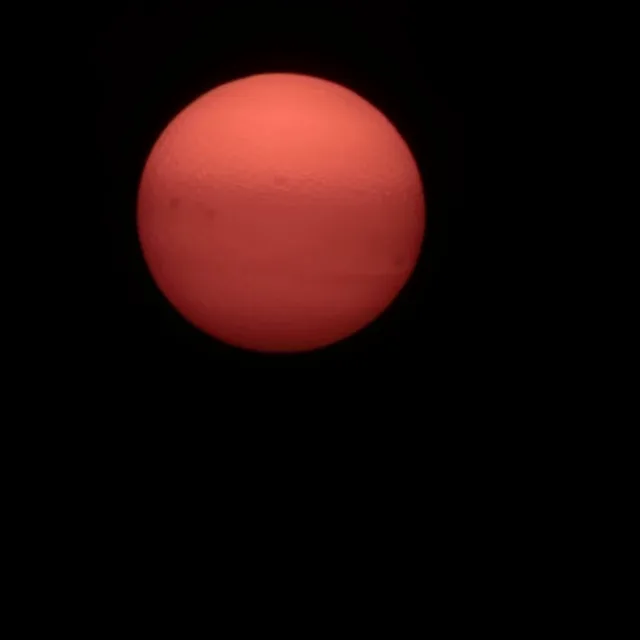 당근헌터