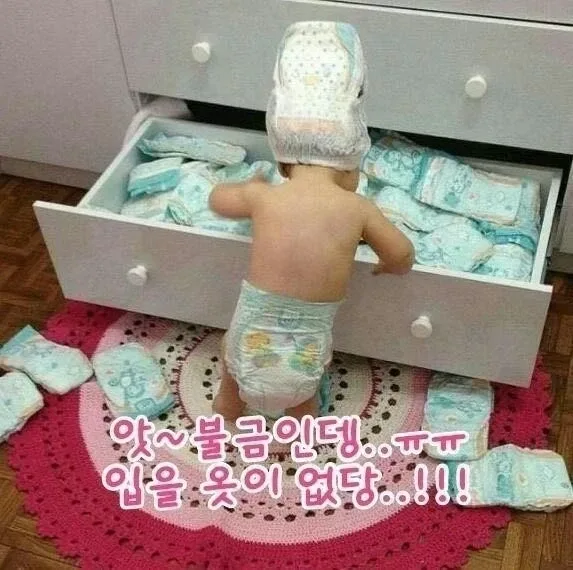 찐허수애비