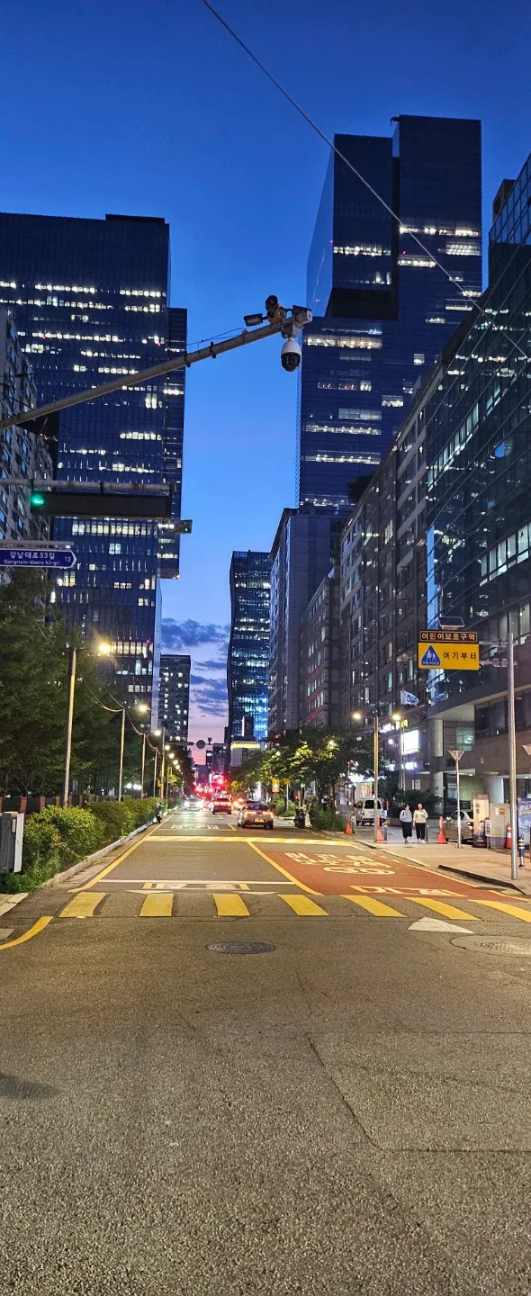 고슴도치