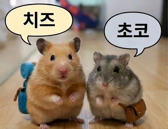 해달별