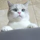 설탕이