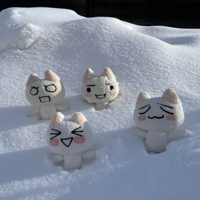 코너맥구리거
