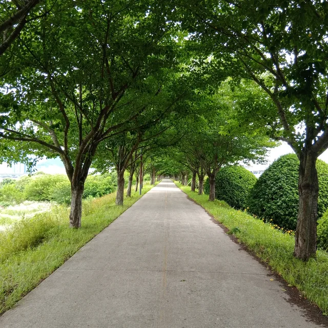 온천동