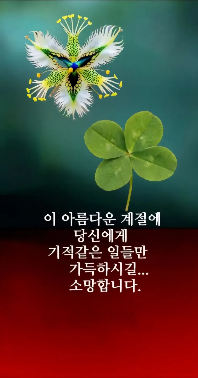 네잎크로버