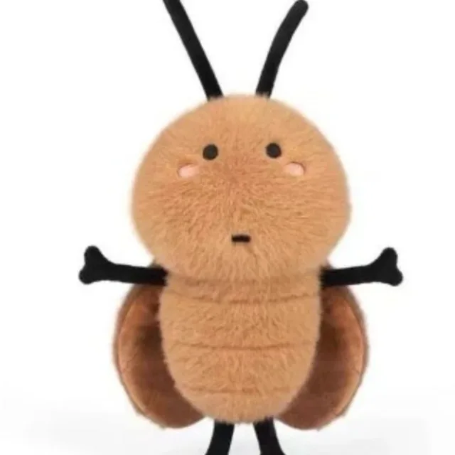 바선생