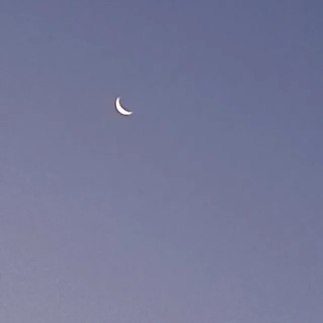 보석들