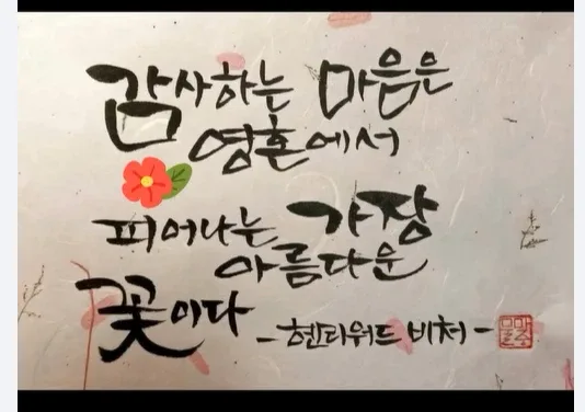 짱아줌마