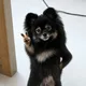 당근사람