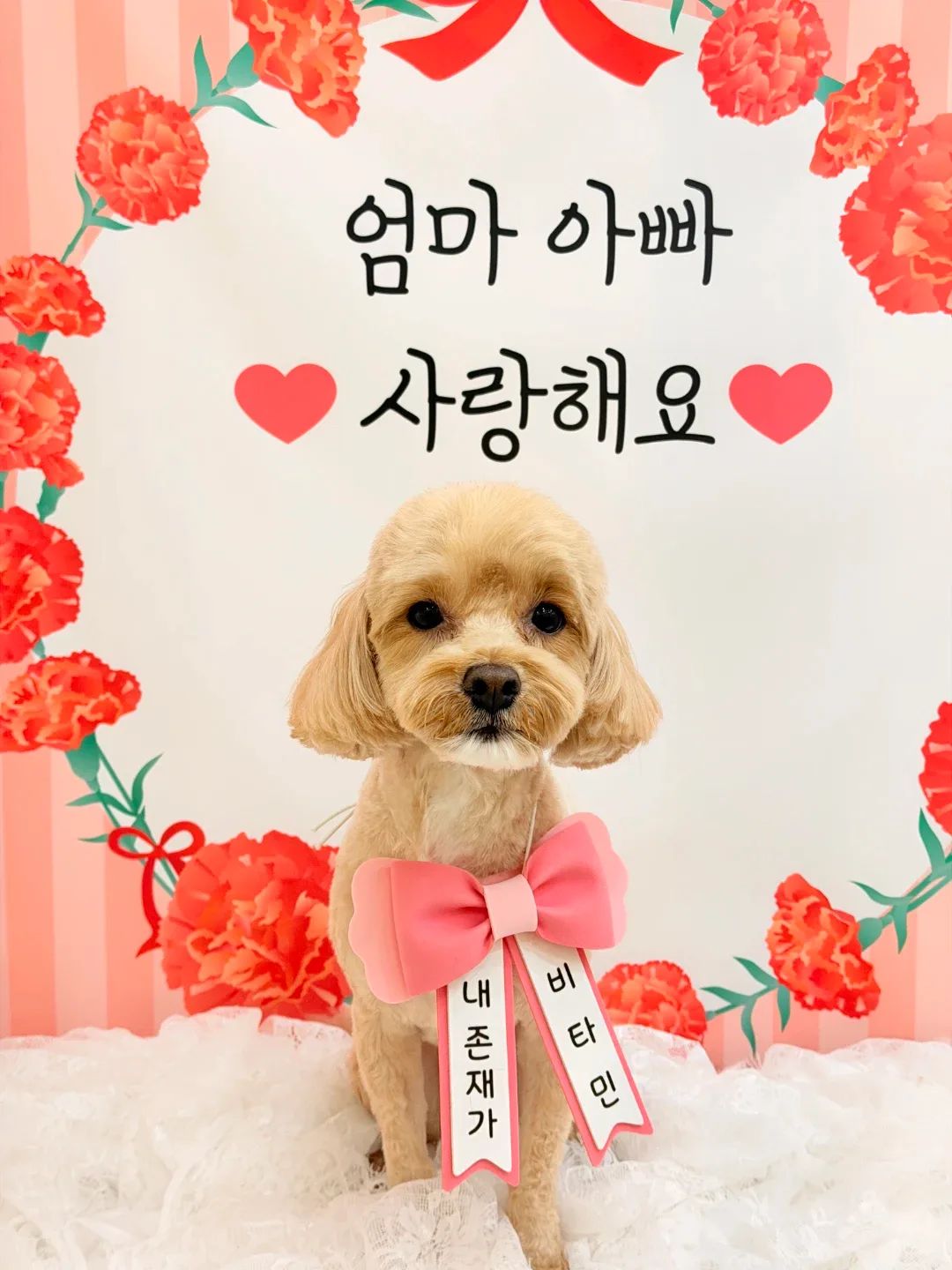 망고맘
